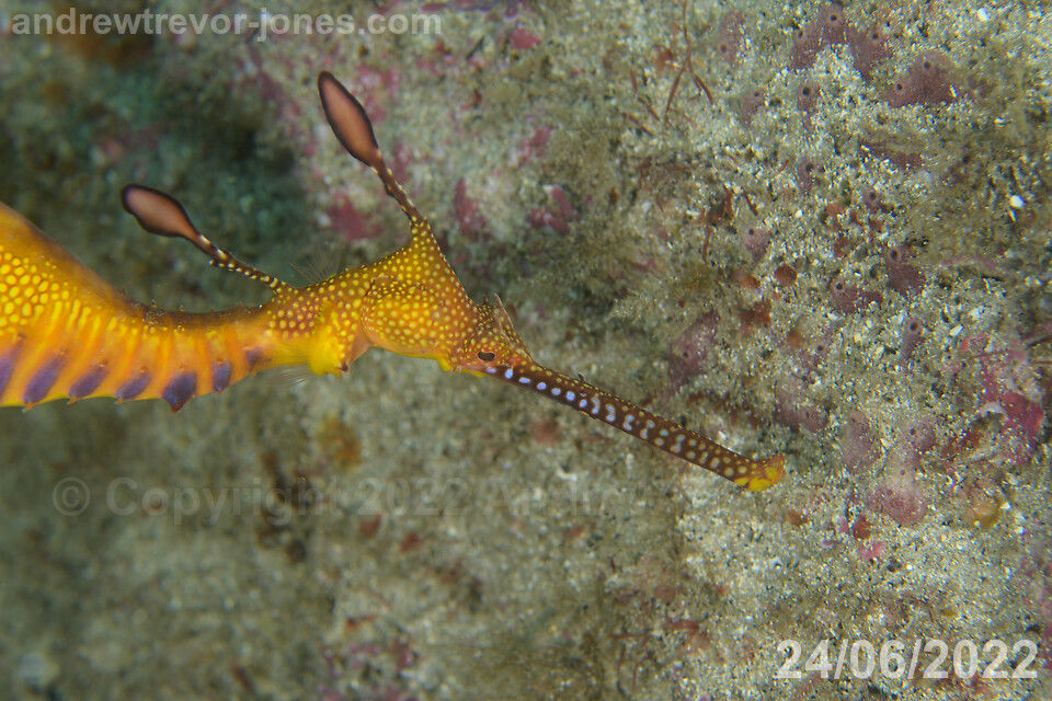 179c6a03-1670-4fa0-9334-8295a5a7e807