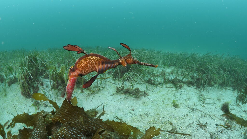 5ec4c215-9cc0-45b1-b918-81d101655a1c