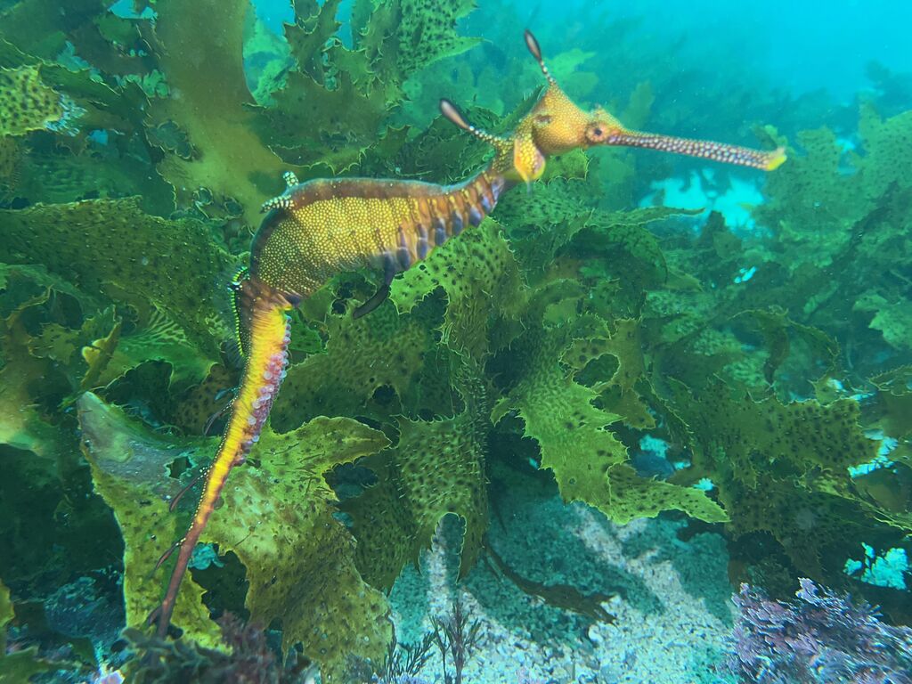 872b1e29-ebfa-4a70-963d-74faaad2f890