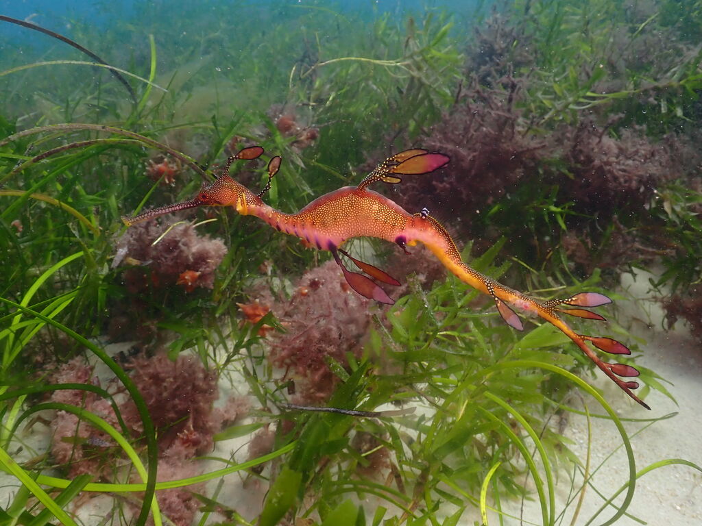 3733233a-0800-406a-9b2e-1f0ca2fa1222