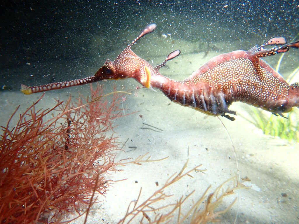 ddcd9603-6e12-4352-af1e-023cda7e0515