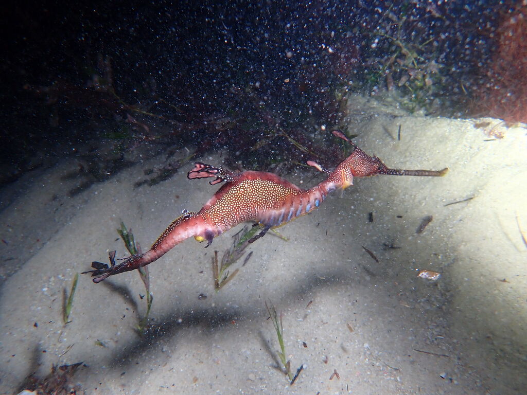 ddcd9603-6e12-4352-af1e-023cda7e0515