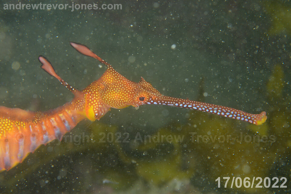 f496dcae-6d0f-417e-b22b-b2065b35c835