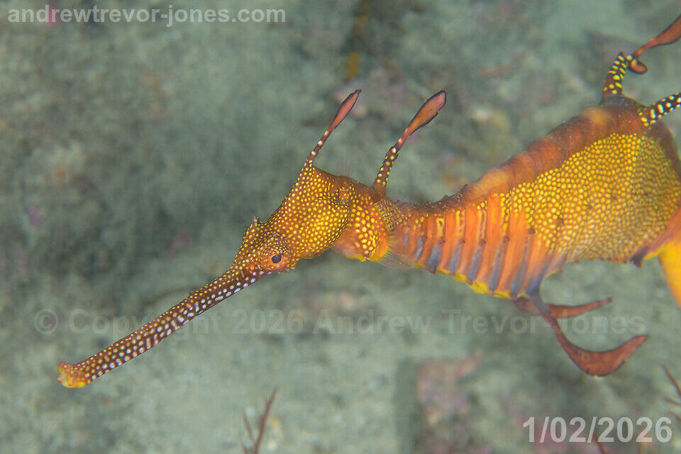 dd95959b-7e16-4a12-ae66-c6961497c6f1