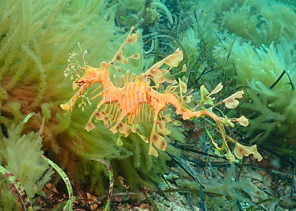 cd67c9fd-ecd1-4609-8bde-c7e129e8fb3e