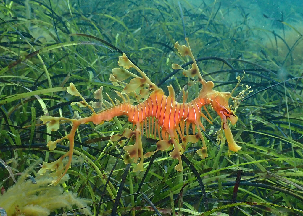 cd67c9fd-ecd1-4609-8bde-c7e129e8fb3e