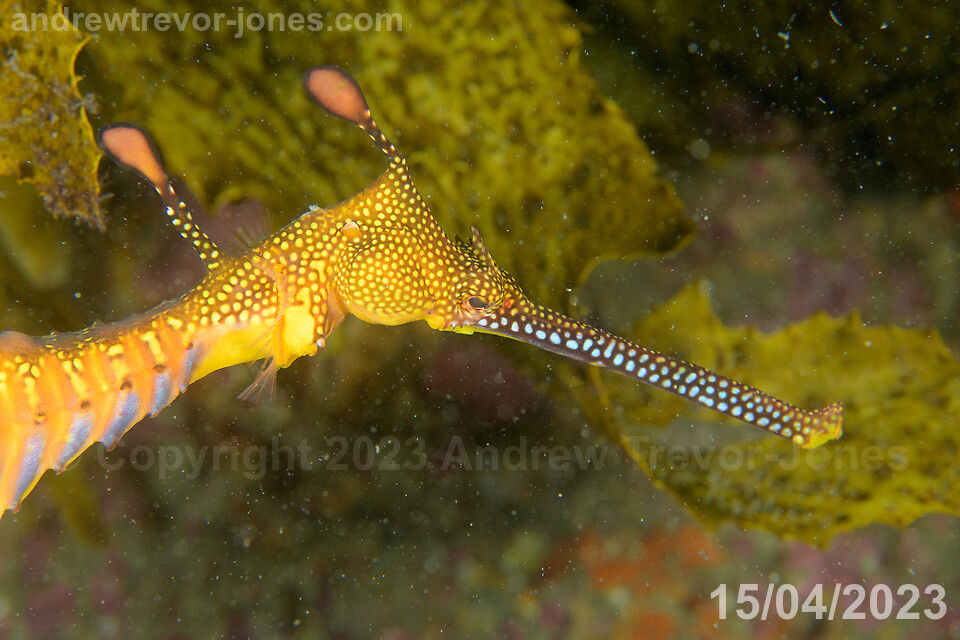 1a28984d-19ab-45fa-a2f2-6f33f8d2636e