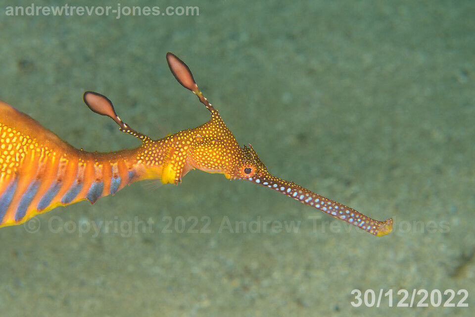 179c6a03-1670-4fa0-9334-8295a5a7e807