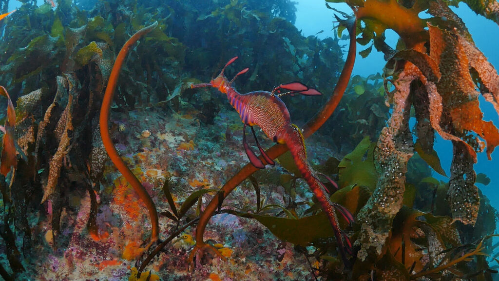 8d744540-7973-4efd-8650-85e27322d25c