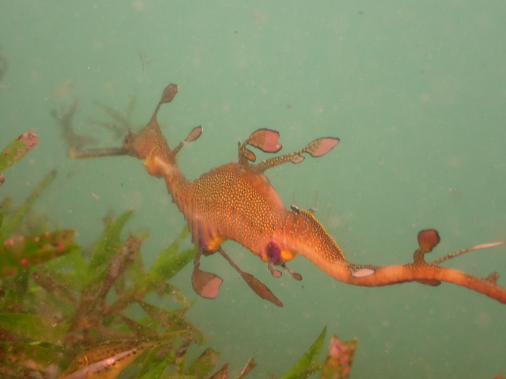 16761682-6a89-45d1-ac86-2e9999d88919