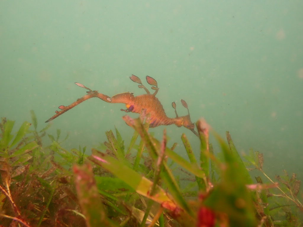 16761682-6a89-45d1-ac86-2e9999d88919