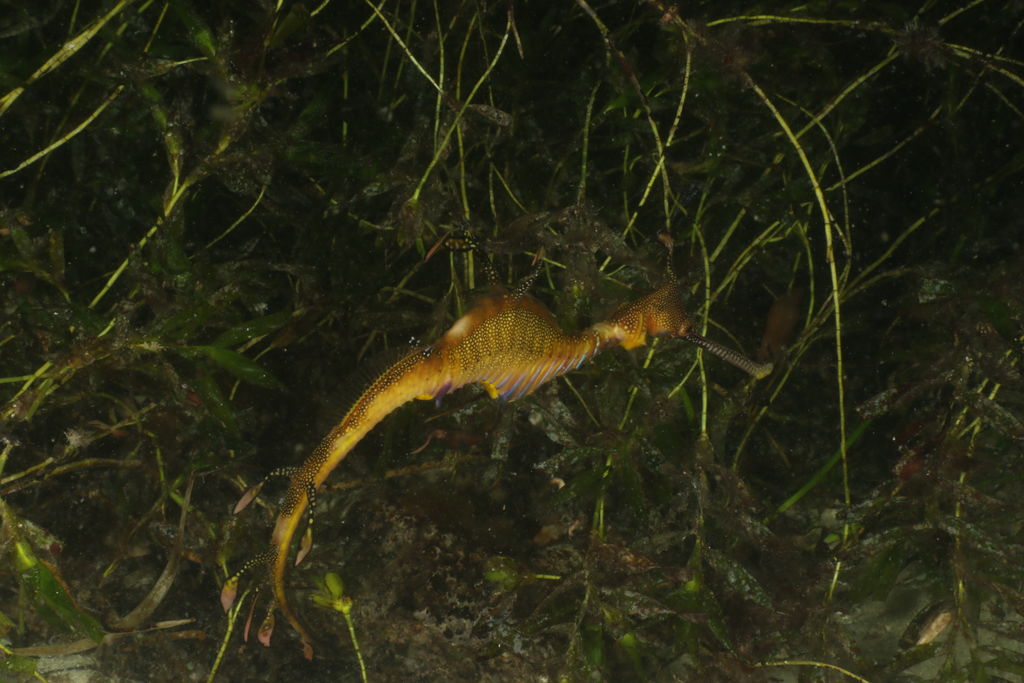 e2424903-692d-45f4-82b7-5e64449ee7a7