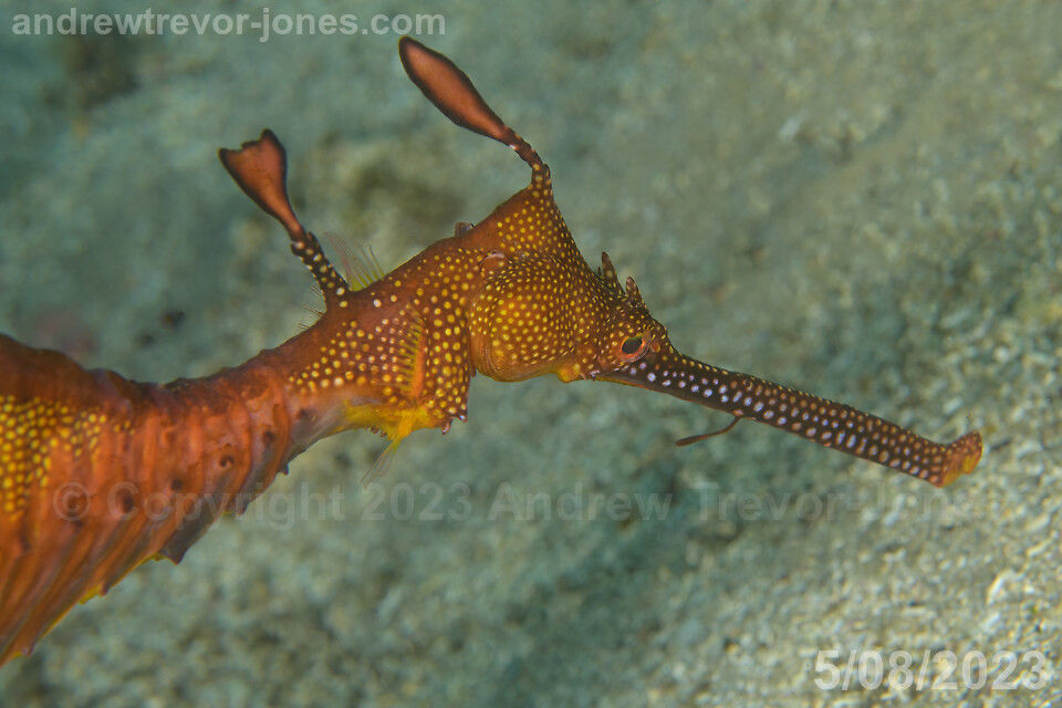 830430f1-2a6a-4ced-b902-cb1f249a918e