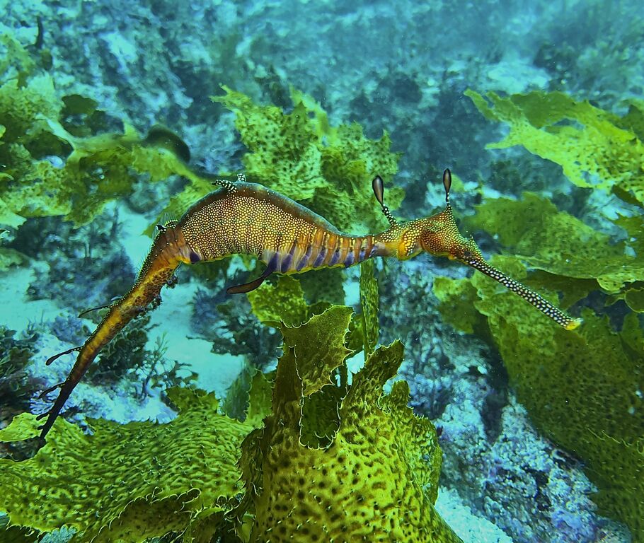 872b1e29-ebfa-4a70-963d-74faaad2f890