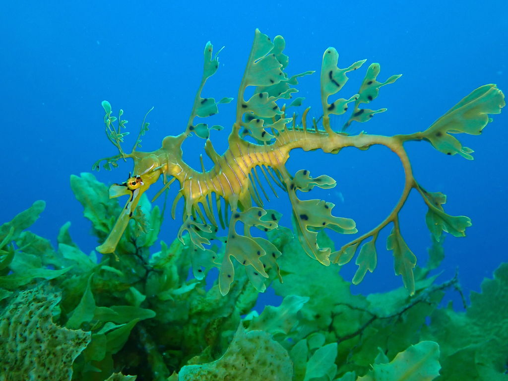 7a0f1a03-370c-4256-b021-7e7812991aec