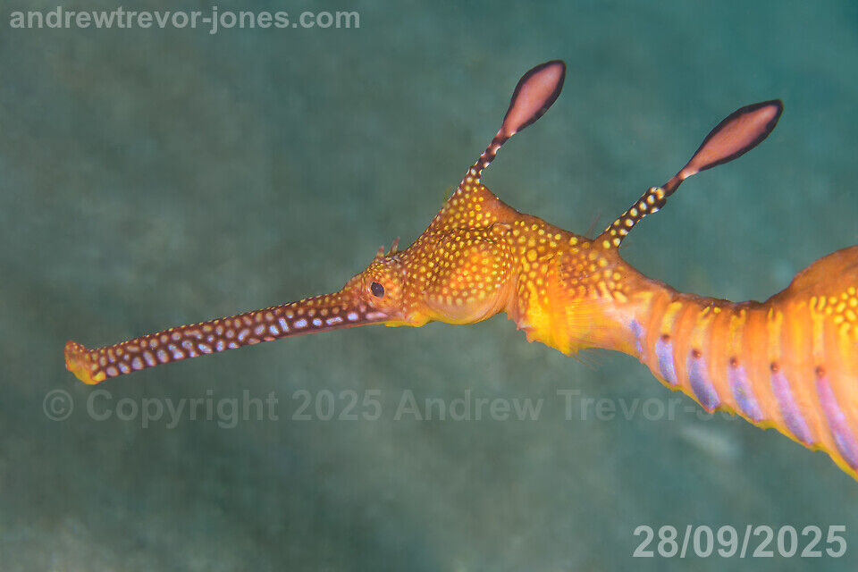 fe91530e-96c2-43e1-be18-b5fae1db7e6b