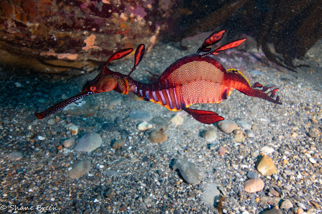 051c55ee-d199-4e29-83fe-5a85f9d81d0a