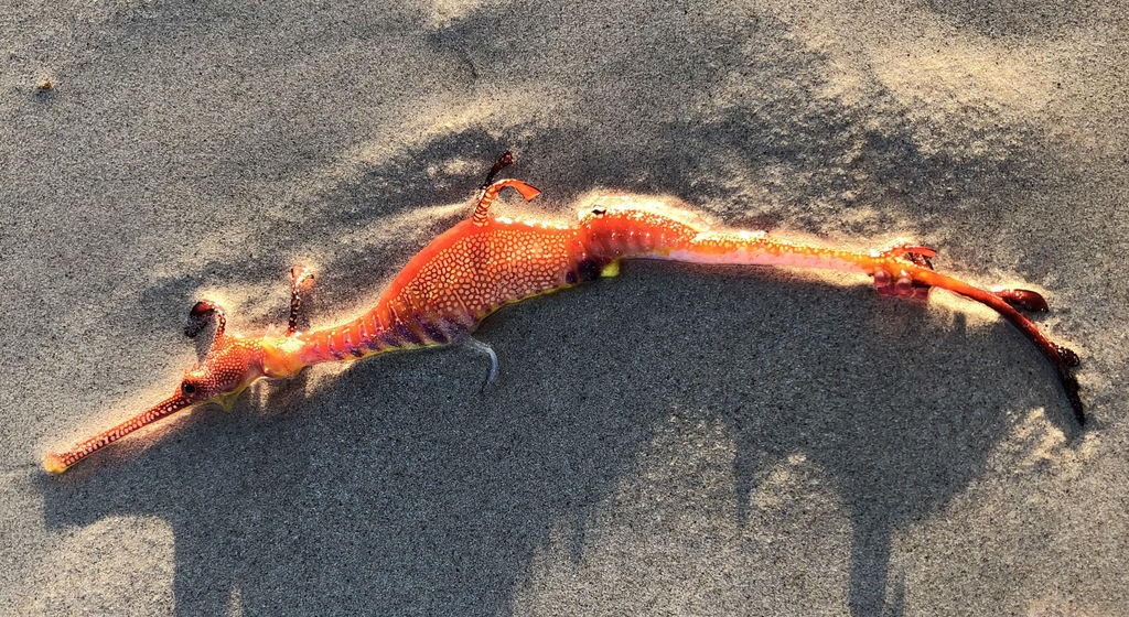 0f6dc8a0-d983-4fad-9f1a-f93d1e069cd2