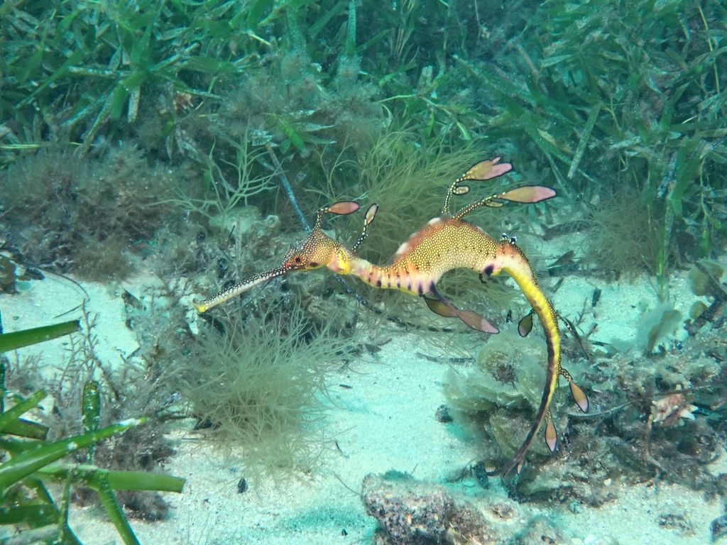 3733233a-0800-406a-9b2e-1f0ca2fa1222