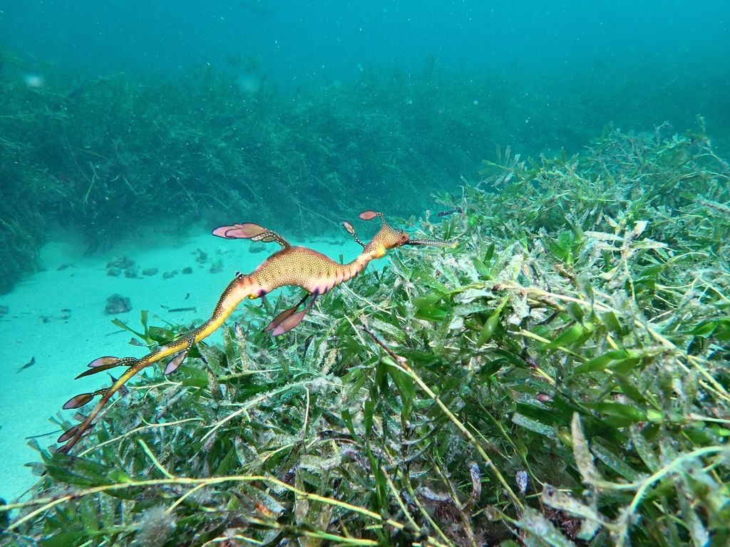 3733233a-0800-406a-9b2e-1f0ca2fa1222