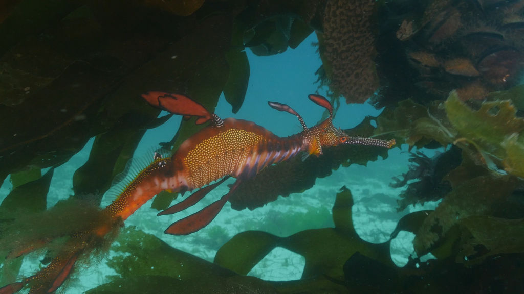 5ec4c215-9cc0-45b1-b918-81d101655a1c