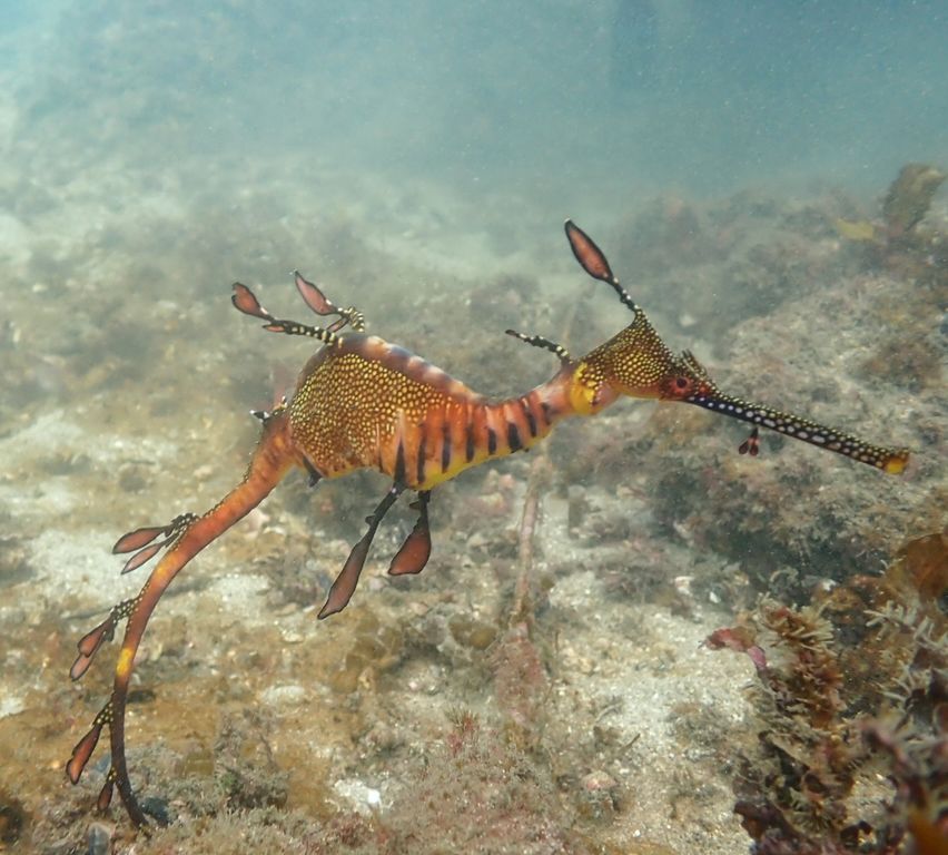 38044f13-0b75-4b61-a1d1-4ee04cc4795f