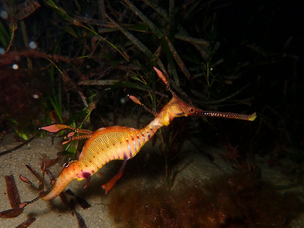 83fc6528-90a8-49d3-8c4d-1ed38d339fd1