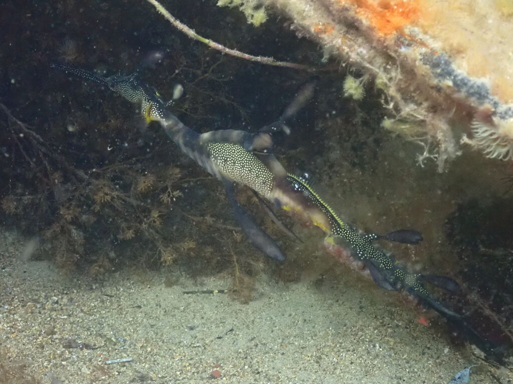 ccdee8ef-5f2a-4614-bba1-fa13cd78d47a