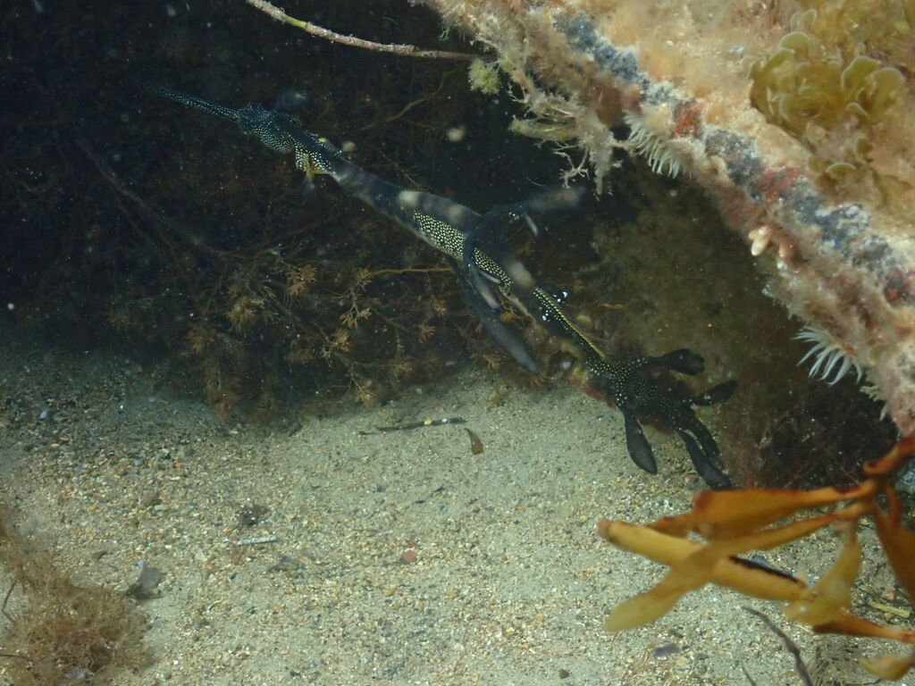 ccdee8ef-5f2a-4614-bba1-fa13cd78d47a