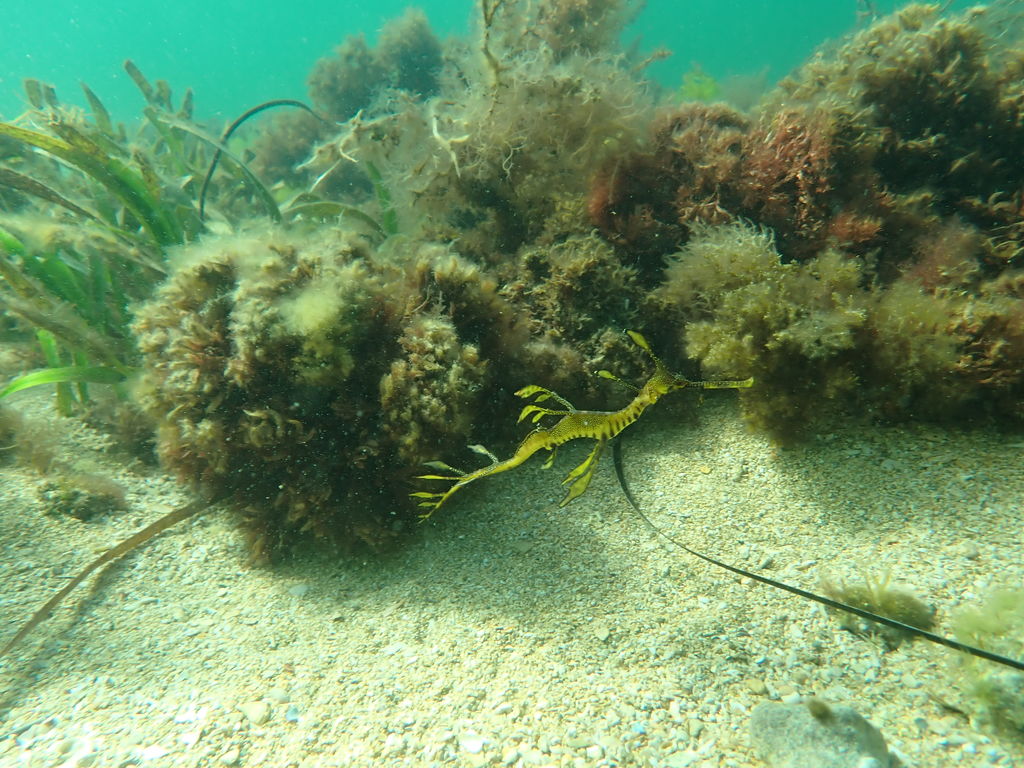 f26e3802-0881-49bc-b8d5-55af4ef50989