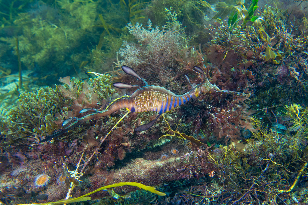 2759819a-0675-402a-b504-4bcbd540381d