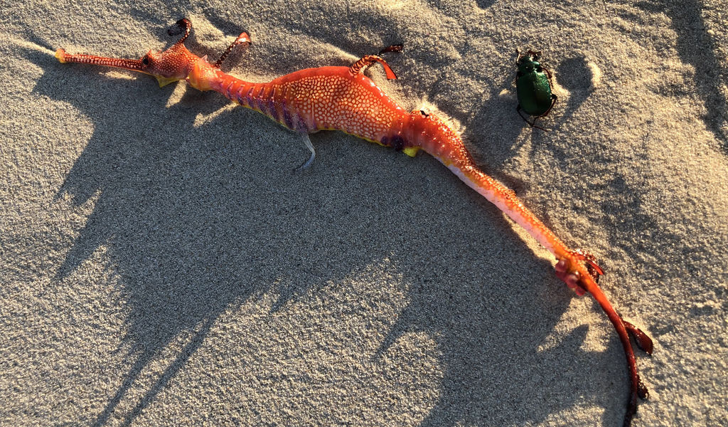 0f6dc8a0-d983-4fad-9f1a-f93d1e069cd2