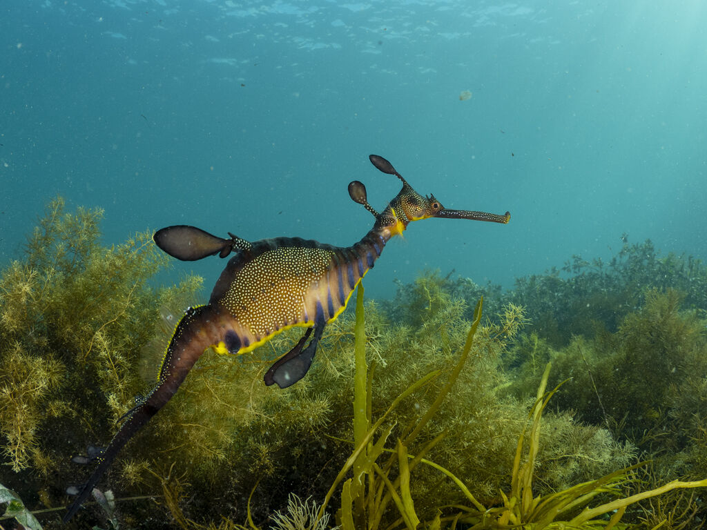 38063f36-6002-47cb-8e9d-475e58c8e54a