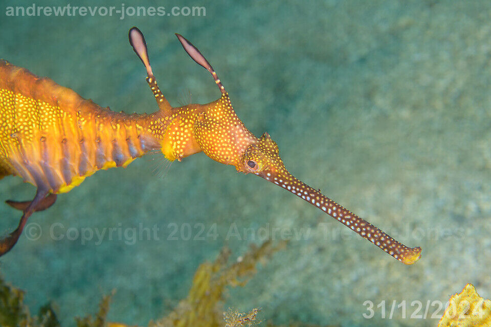 d79fd72c-6e12-4a20-942d-bacbb0c97cee