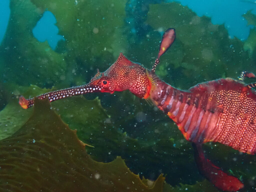 9b2f099c-cd55-4c74-a7a2-6e74a8b3c263