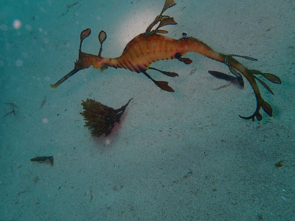 9b79605c-9fa2-42ff-810c-820a228dc5cd