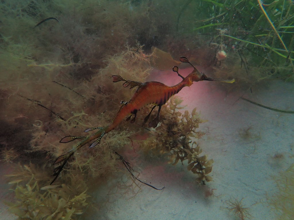 9b79605c-9fa2-42ff-810c-820a228dc5cd