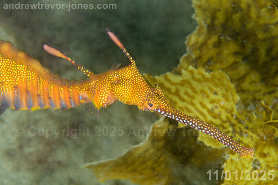 dd95959b-7e16-4a12-ae66-c6961497c6f1