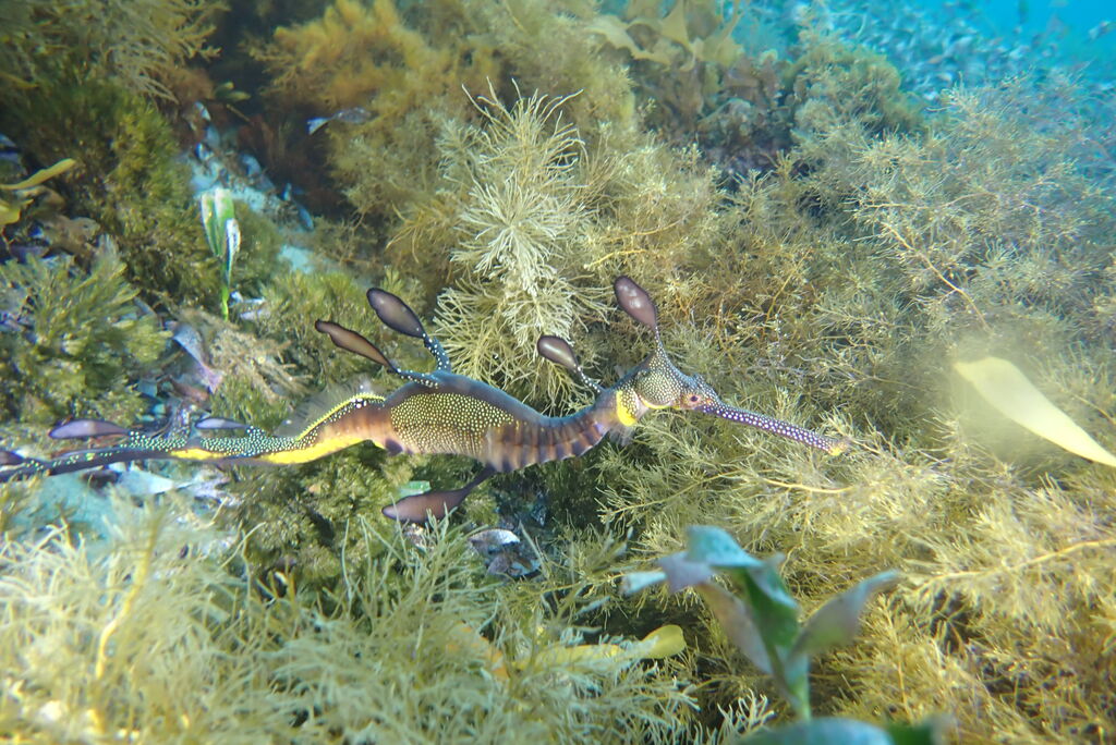 a6fd8a1d-5497-4cd6-b62f-818dd7b442b8