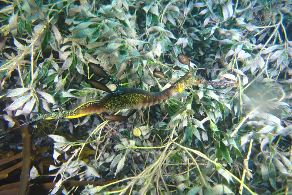 a6fd8a1d-5497-4cd6-b62f-818dd7b442b8