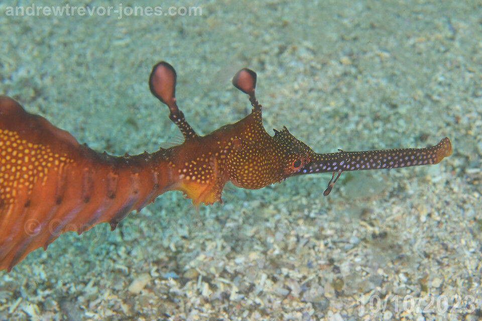 1a6e4338-813e-4ba0-be2c-79419c73fde7