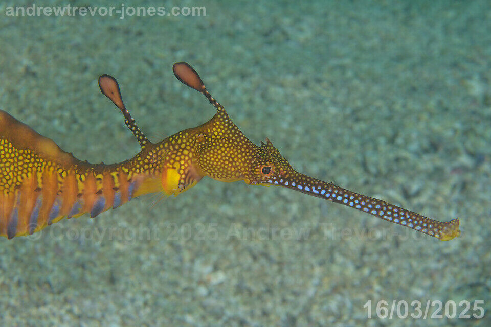 1a28984d-19ab-45fa-a2f2-6f33f8d2636e