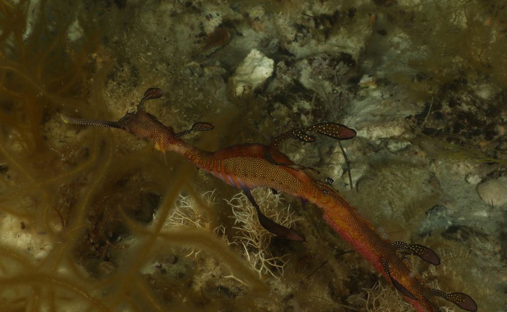 9270d278-91d8-4f94-b8ab-b6cb10c1a901