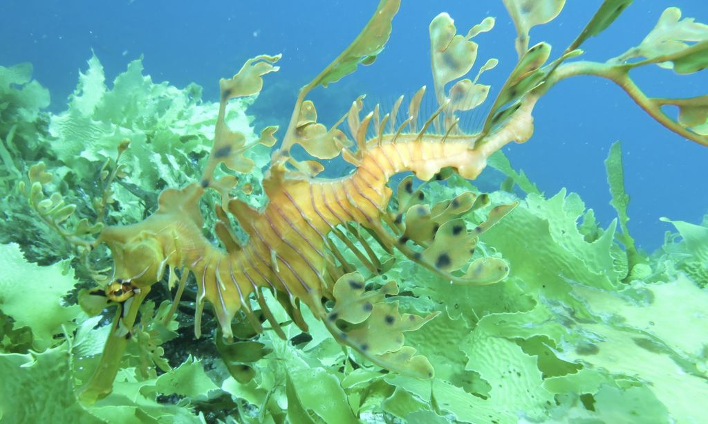 8e910400-c392-46ae-9e7d-23433766febc