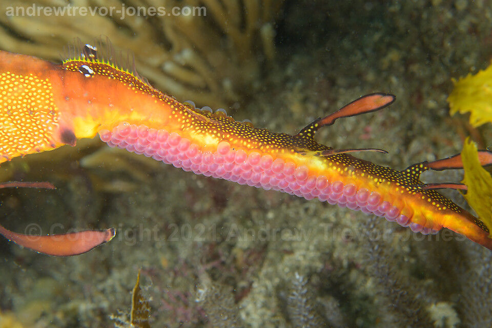 f496dcae-6d0f-417e-b22b-b2065b35c835