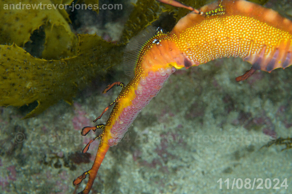 fe91530e-96c2-43e1-be18-b5fae1db7e6b