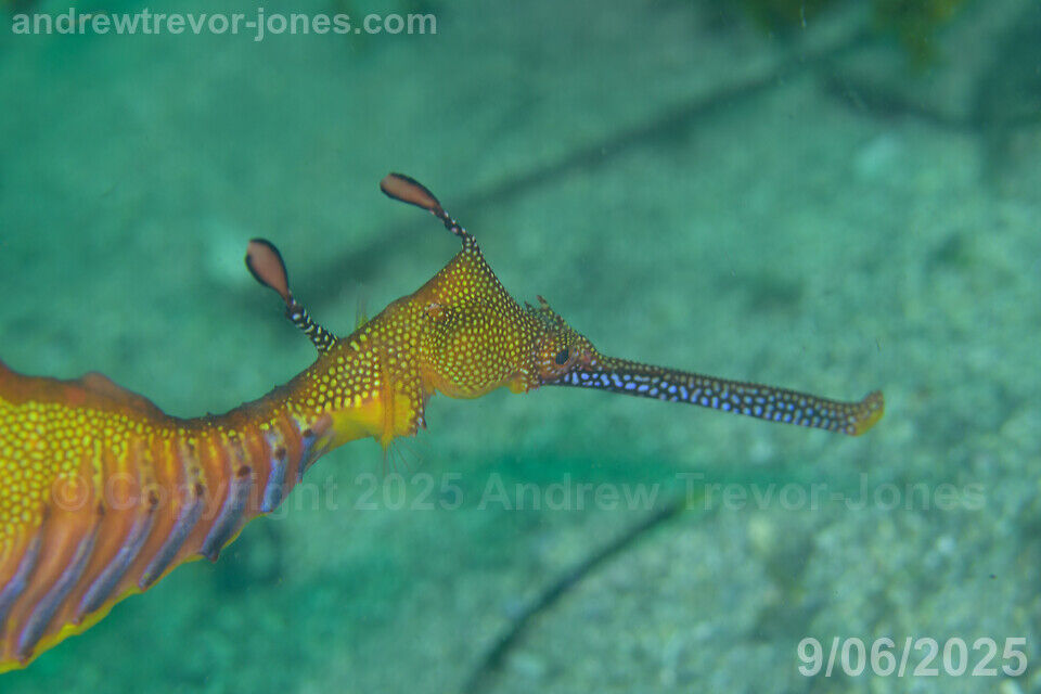 86f44478-77a9-475c-9b15-f868bed3b077