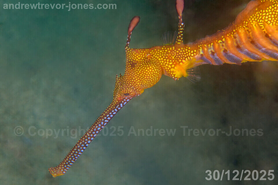 86f44478-77a9-475c-9b15-f868bed3b077