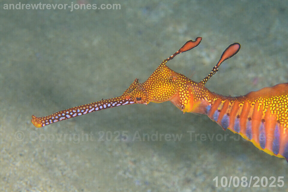 3b8f704a-c4df-4cd9-bbec-6ca92ea2f8c6