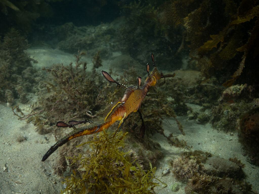 d2c1c4f5-3979-4d13-8943-f190cf8b1b90